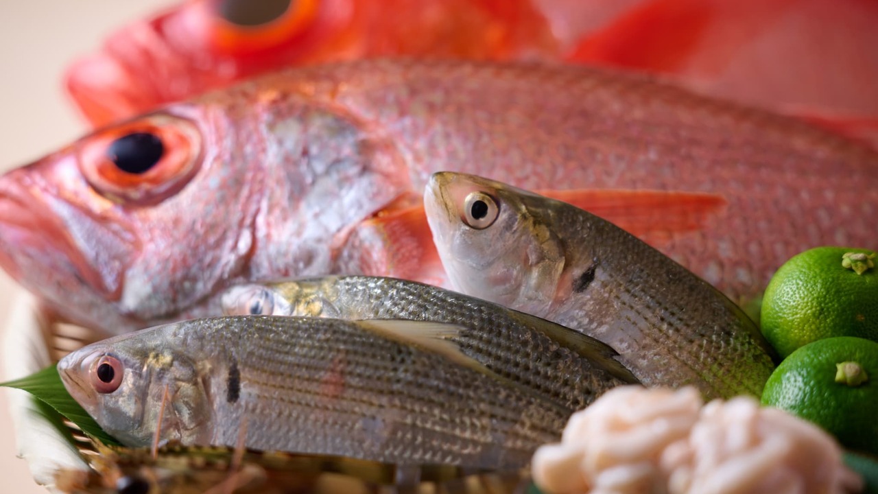 とよひさ|女将・和装ホールの求人画像4枚目