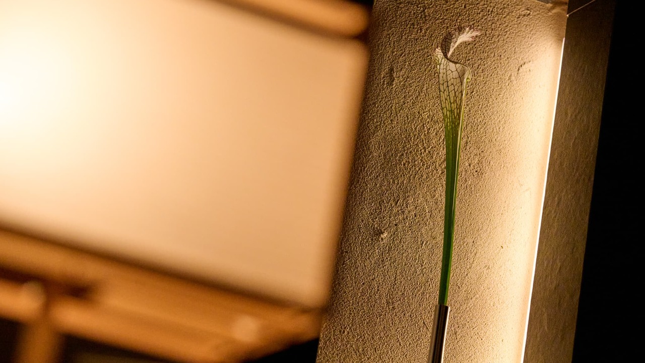 とよひさ|レストランサービス・ホールスタッフの求人画像3枚目