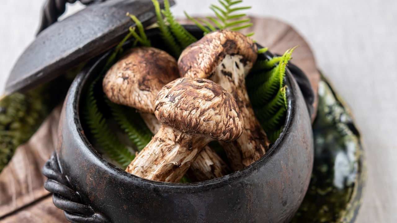 炭と地酒とたしなみワイン Kai本店 醸す|キッチンスタッフの求人画像2枚目