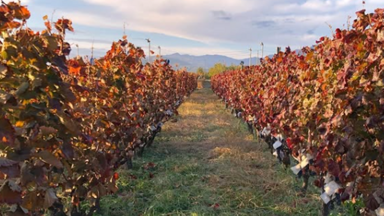 代々木上原駅近 イタリアン業態新店舗(2026年2月OPEN予定)|料理長・料理長候補の求人画像2枚目