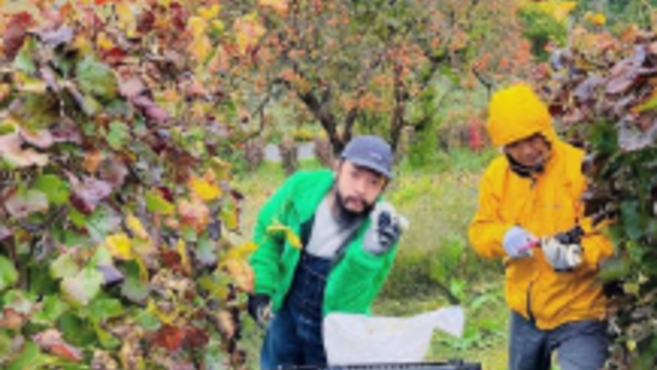 代々木上原駅近 イタリアン業態新店舗(2026年2月OPEN予定)|料理長・料理長候補の求人画像3枚目