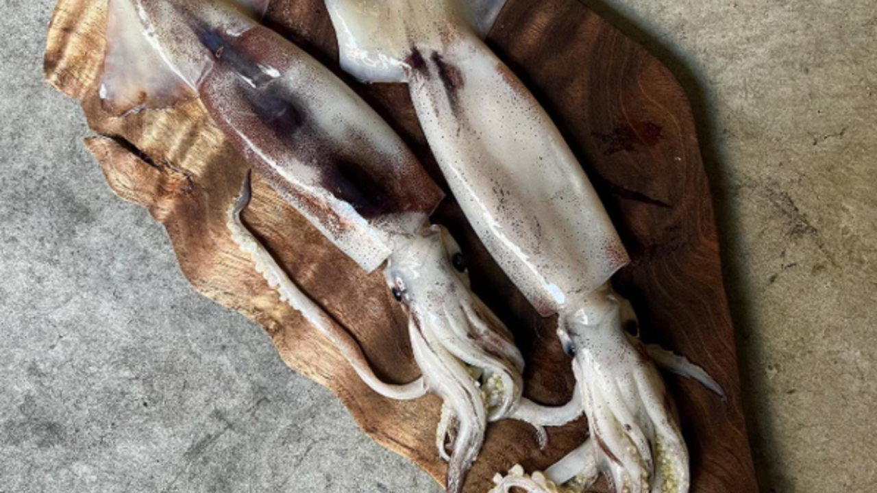 代々木上原駅近 イタリアン業態新店舗(2026年2月OPEN予定)|料理長・料理長候補の求人画像4枚目