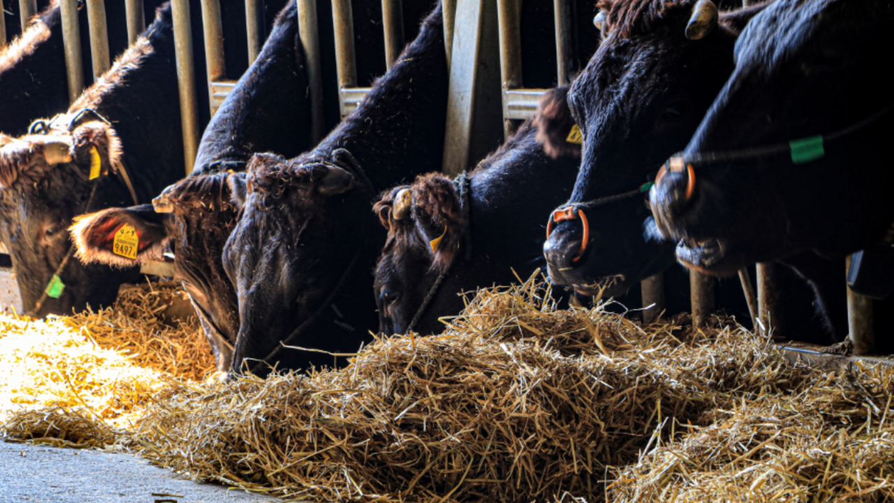 【2026年3月開業】新規居酒屋ブランド|キッチンスタッフの求人画像1枚目