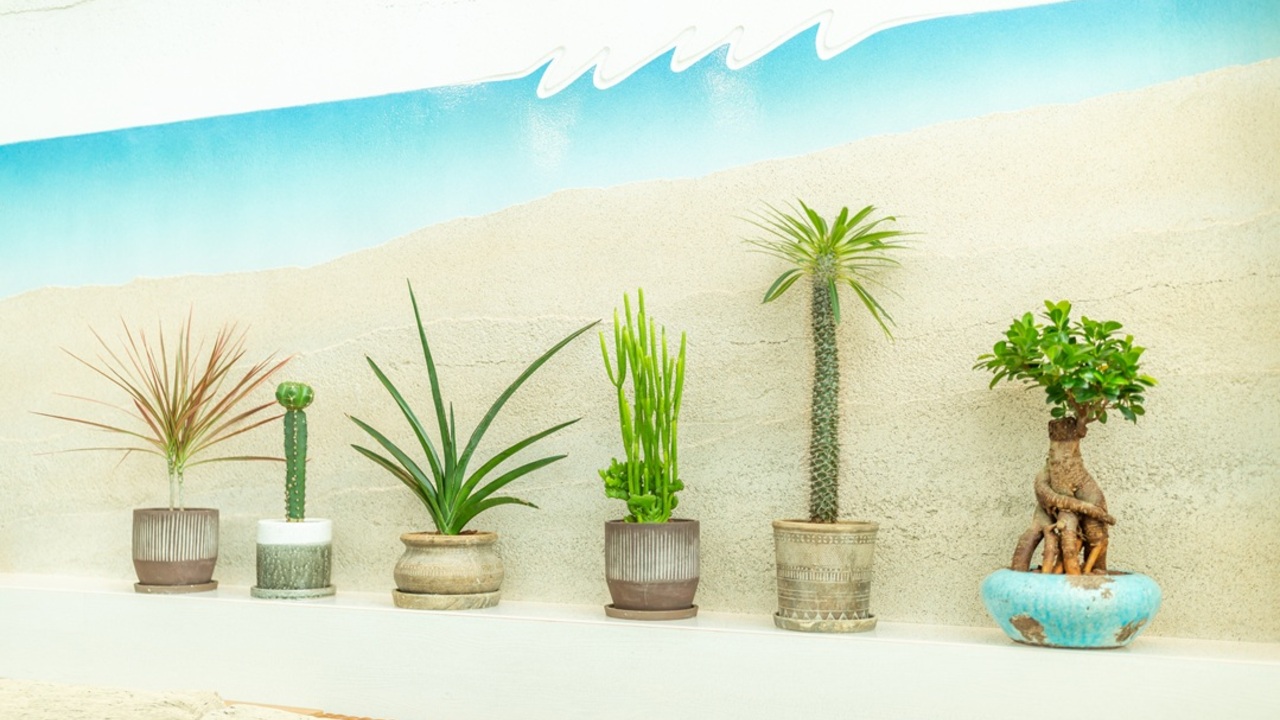 葉山うみのホテル|レストランサービス・ホールスタッフの求人画像2枚目