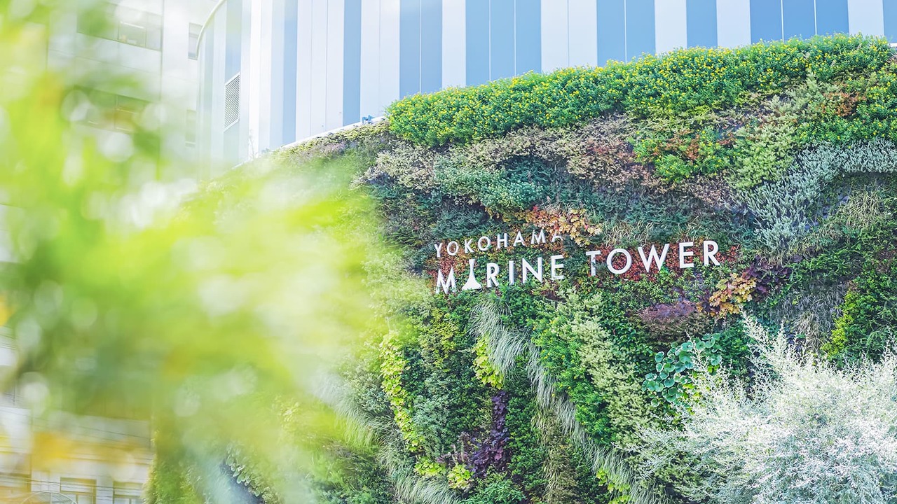 MARINE TOWER|キッチンスタッフの求人画像1枚目