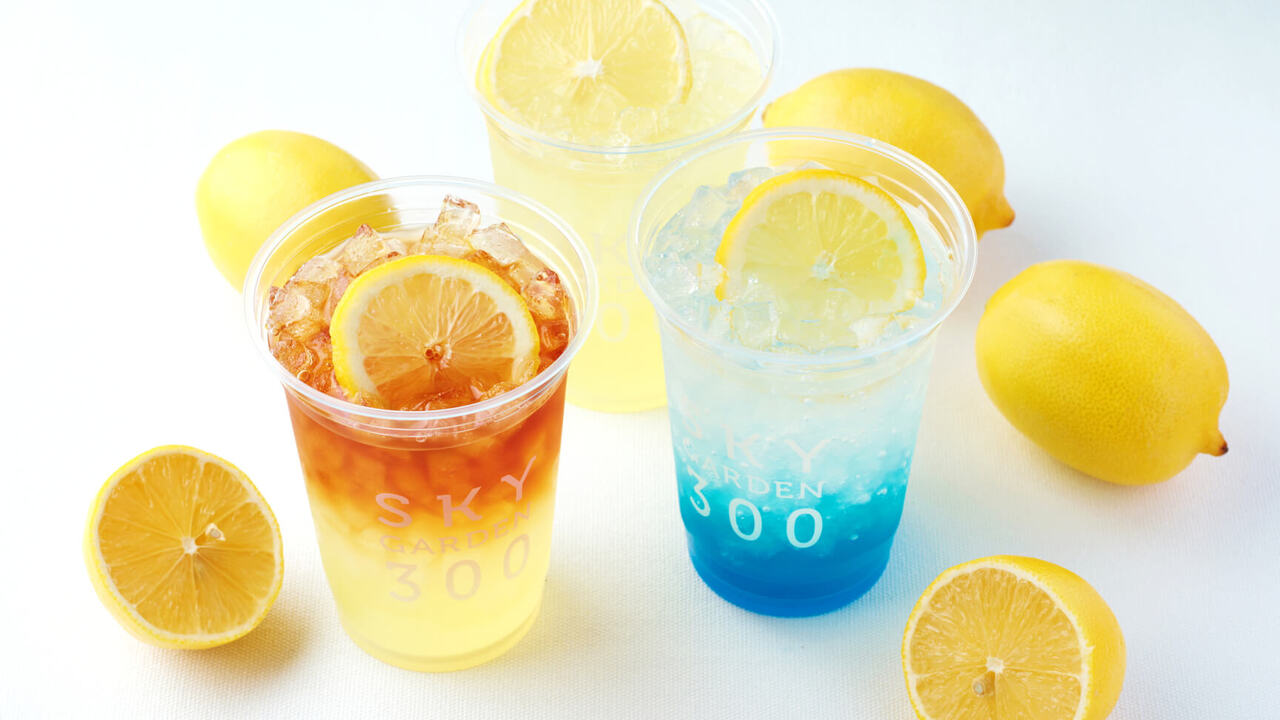 SKY GARDEN 300|レストランサービス・ホールスタッフの求人画像4枚目