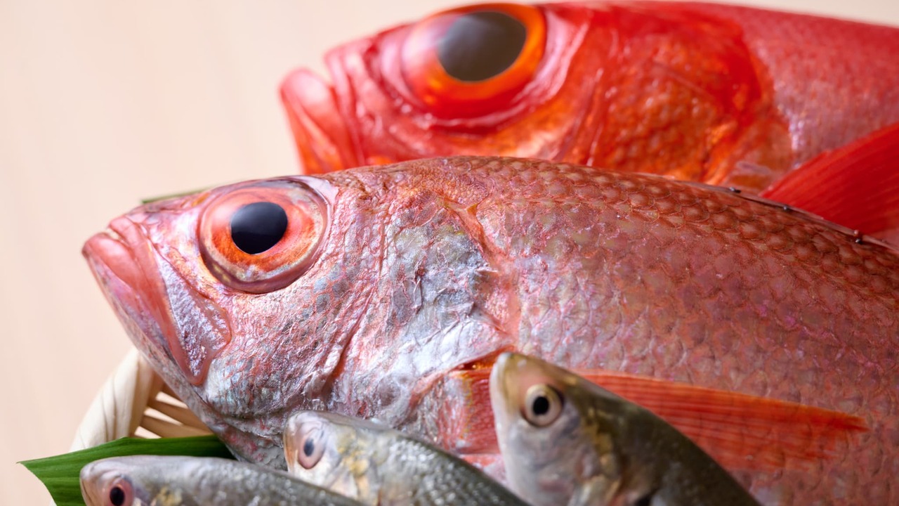 とよひさ|料理長・料理長候補の求人画像3枚目