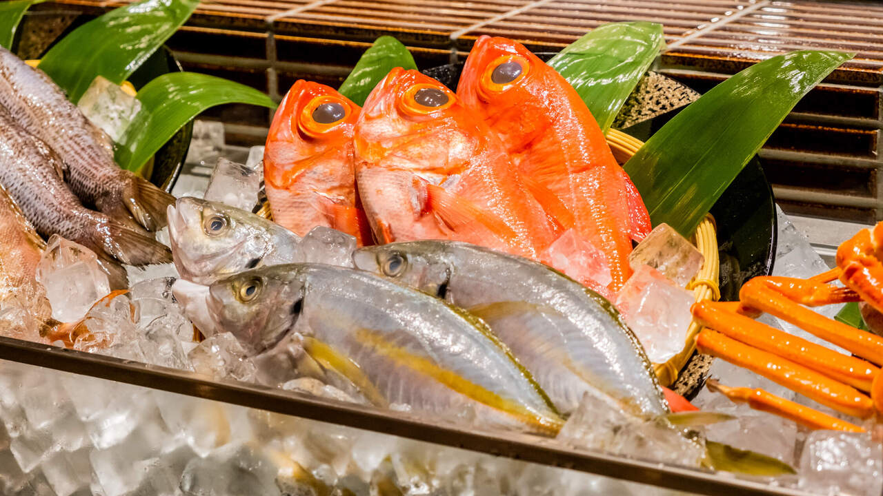 お魚総本家 銀座店 居酒屋 | 料理長・料理長候補)の求人の写真 4枚目