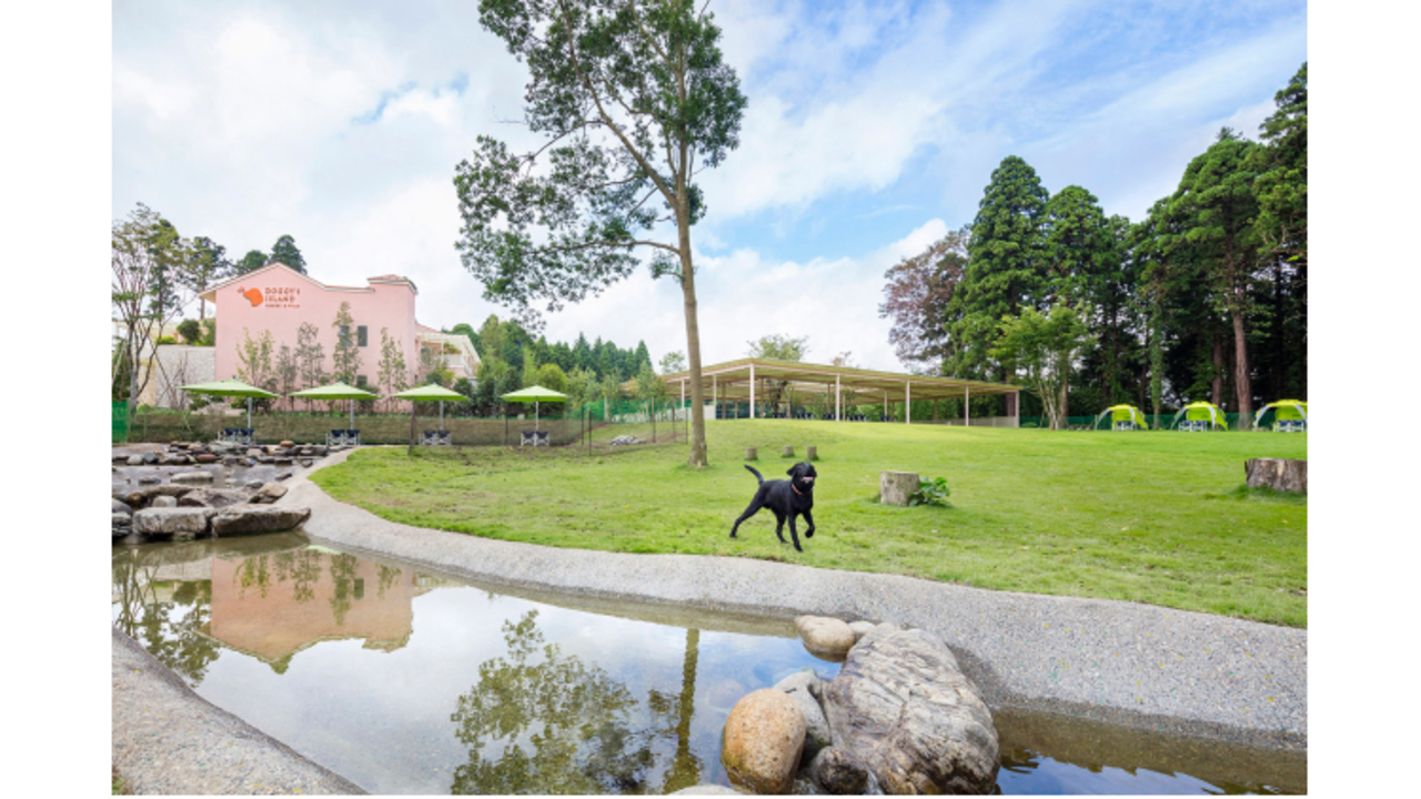 株式会社ユニマットドギーズアイランド|事務・総務・経理・人事の求人画像1枚目