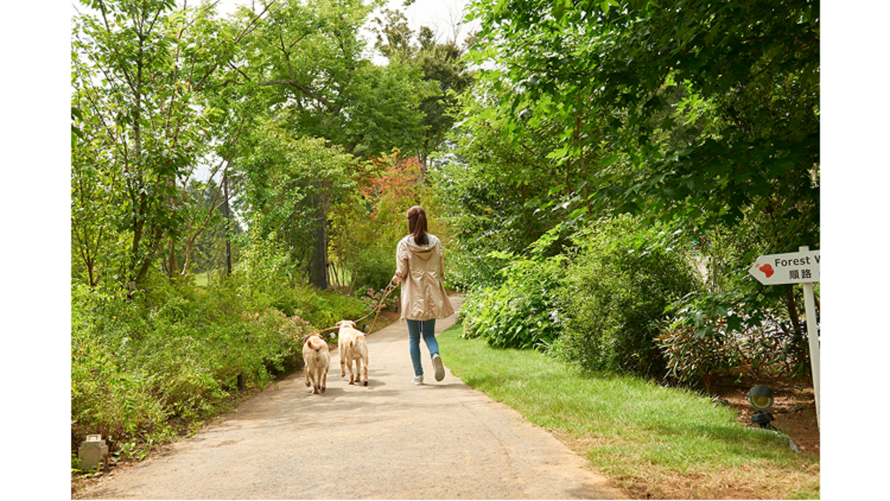 株式会社ユニマットドギーズアイランド|事務・総務・経理・人事の求人画像3枚目