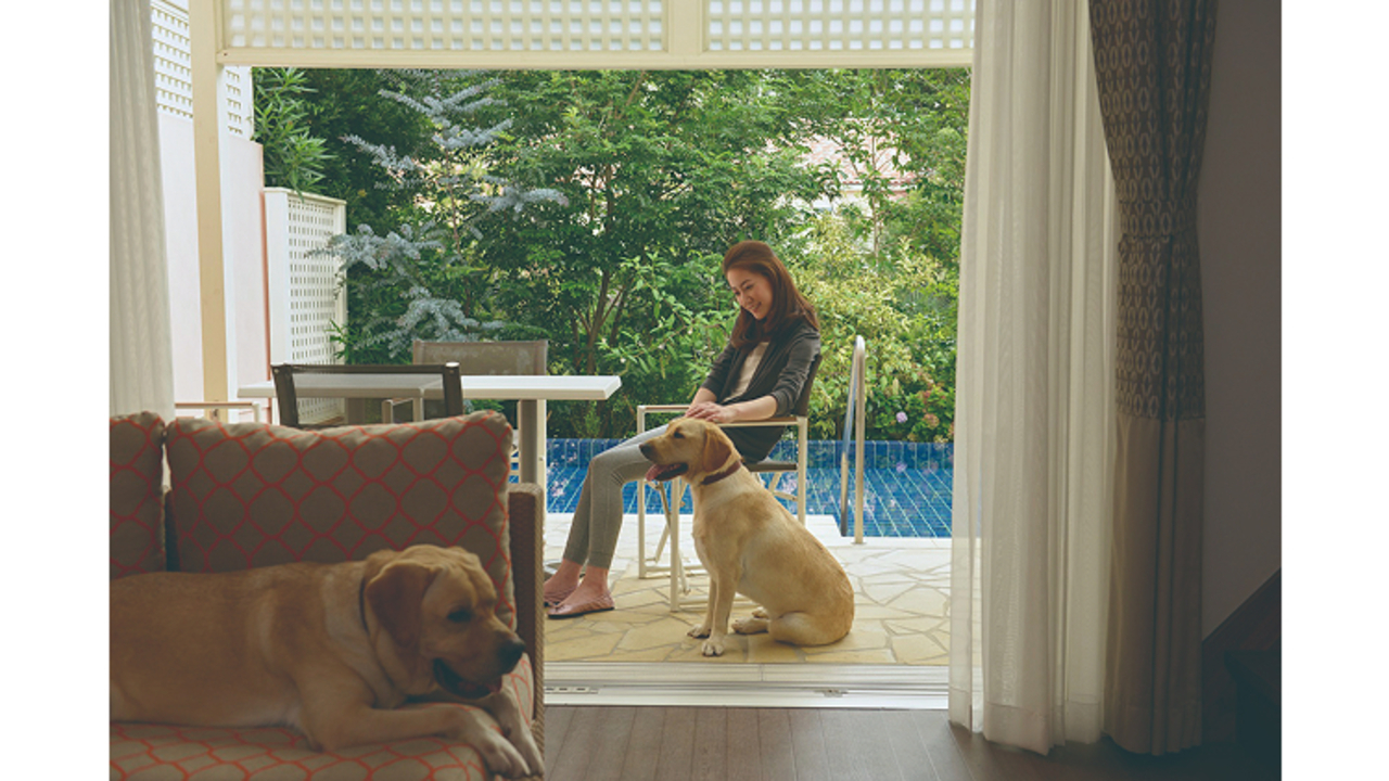 株式会社ユニマットドギーズアイランド 小谷流の里ドギーズアイランド リゾートホテル, その他ホテル | 管理部門 | 事務・総務・経理・人事)の求人の写真 2枚目