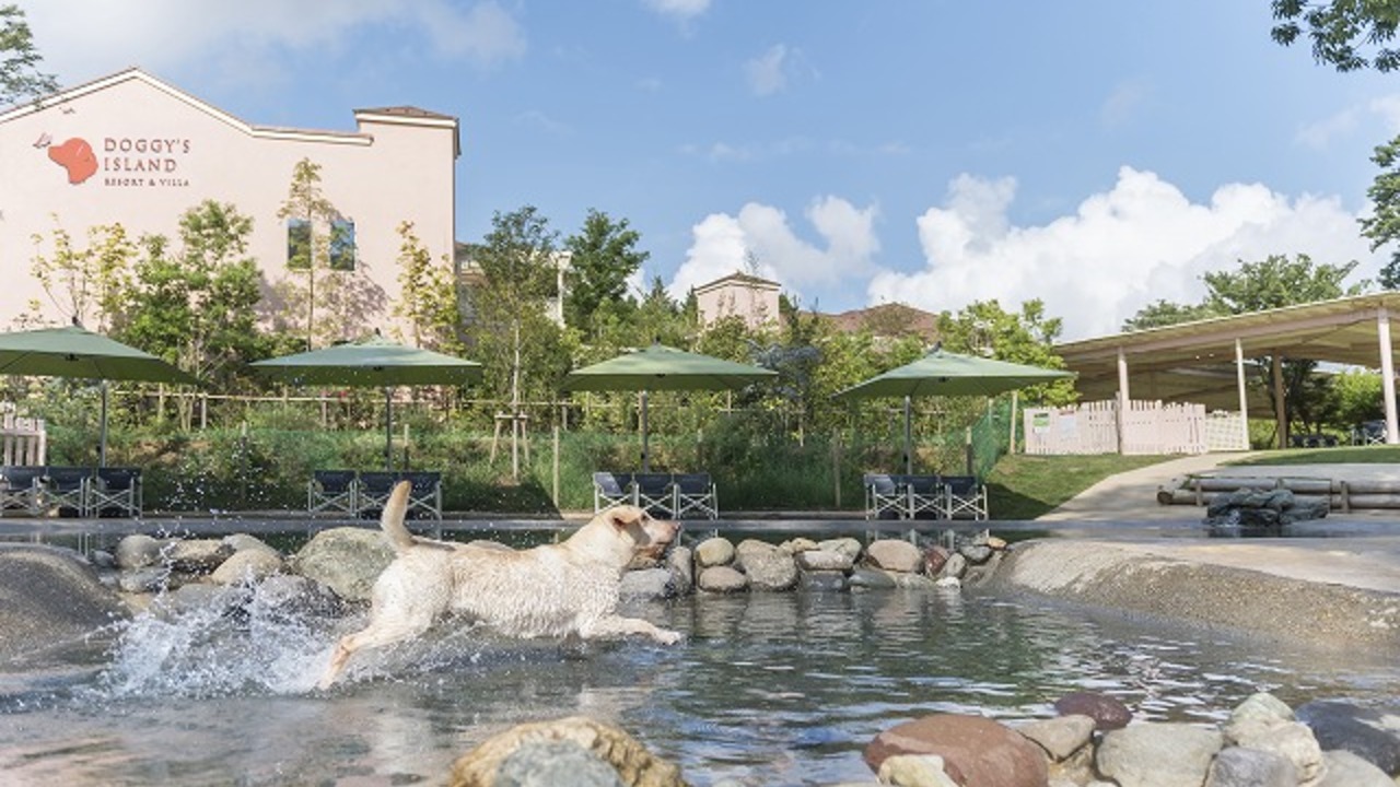 株式会社ユニマットドギーズアイランド|事務・総務・経理・人事の求人画像3枚目