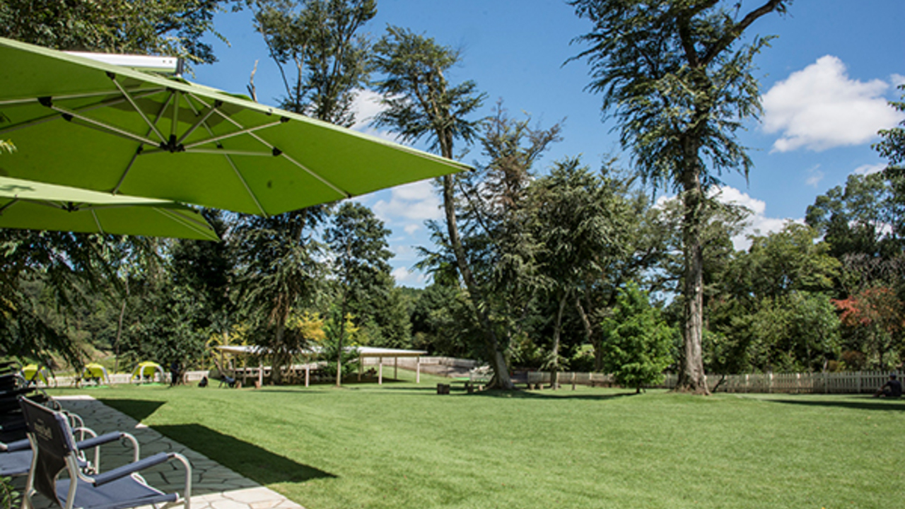 株式会社ユニマットドギーズアイランド|事務・総務・経理・人事の求人画像2枚目