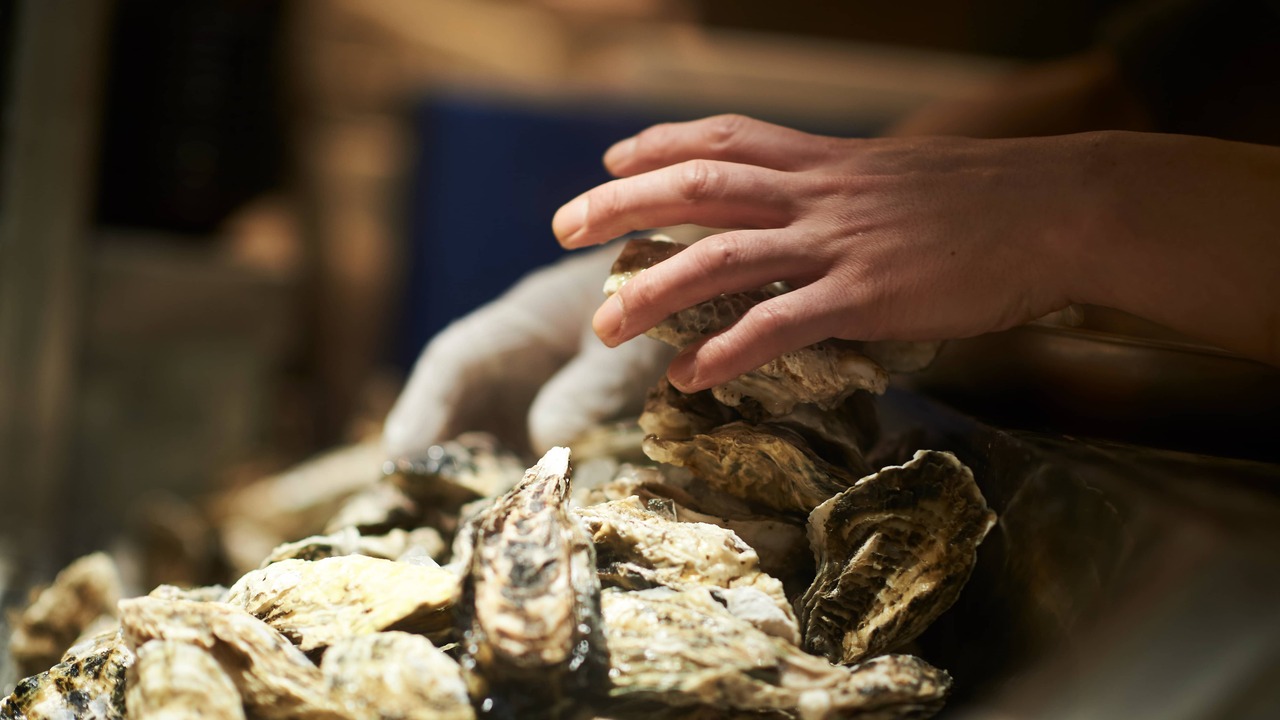 8th sea oysterbar|レストランサービス・ホールスタッフの求人画像2枚目