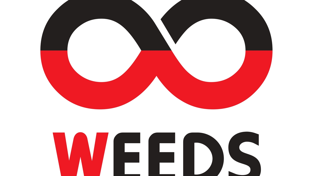 株式会社WEEDS 本社 イタリアン, 居酒屋 | スーパーバイザー)の求人の写真