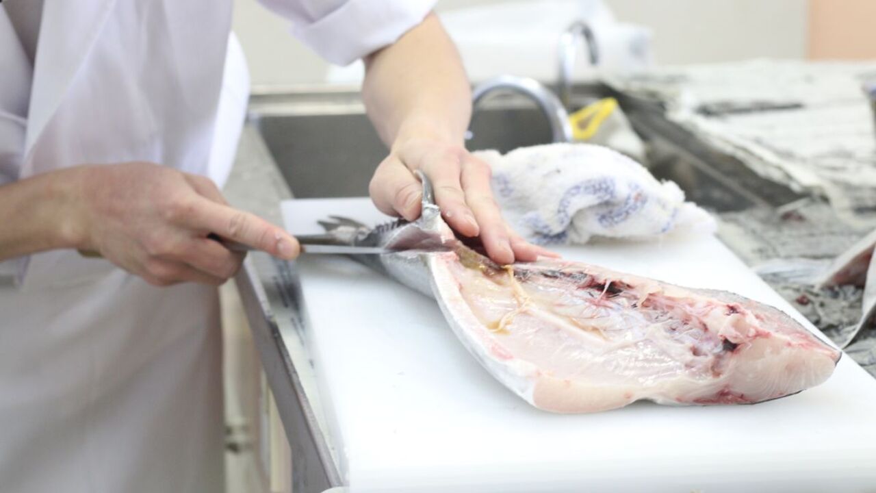 回し寿司活|寿司職人の求人画像2枚目