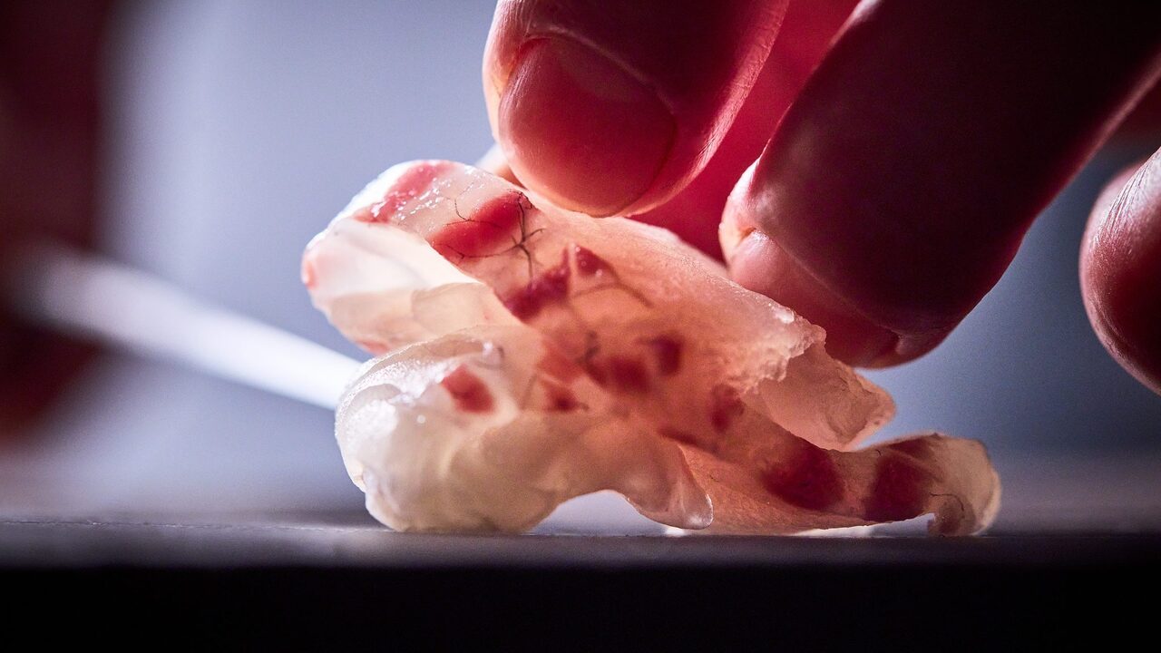 ちょうつがひ 梅田 和食, 日本料理・懐石料理 | 店長・店長候補)の求人の写真 3枚目