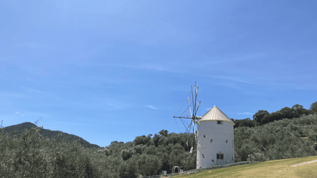 「島泊 / 島飯 / 島湯」|マネージャー・管理職(料飲)の求人画像1枚目