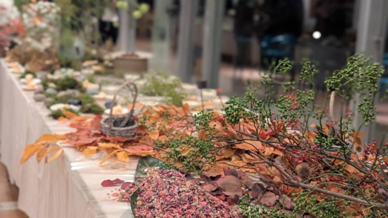 BOTANICA MUSEUM BOTANICA MUSEUM RESTAURENT ブライダル, その他(料理ジャンル) | キッチンスタッフ)の求人の写真 3枚目