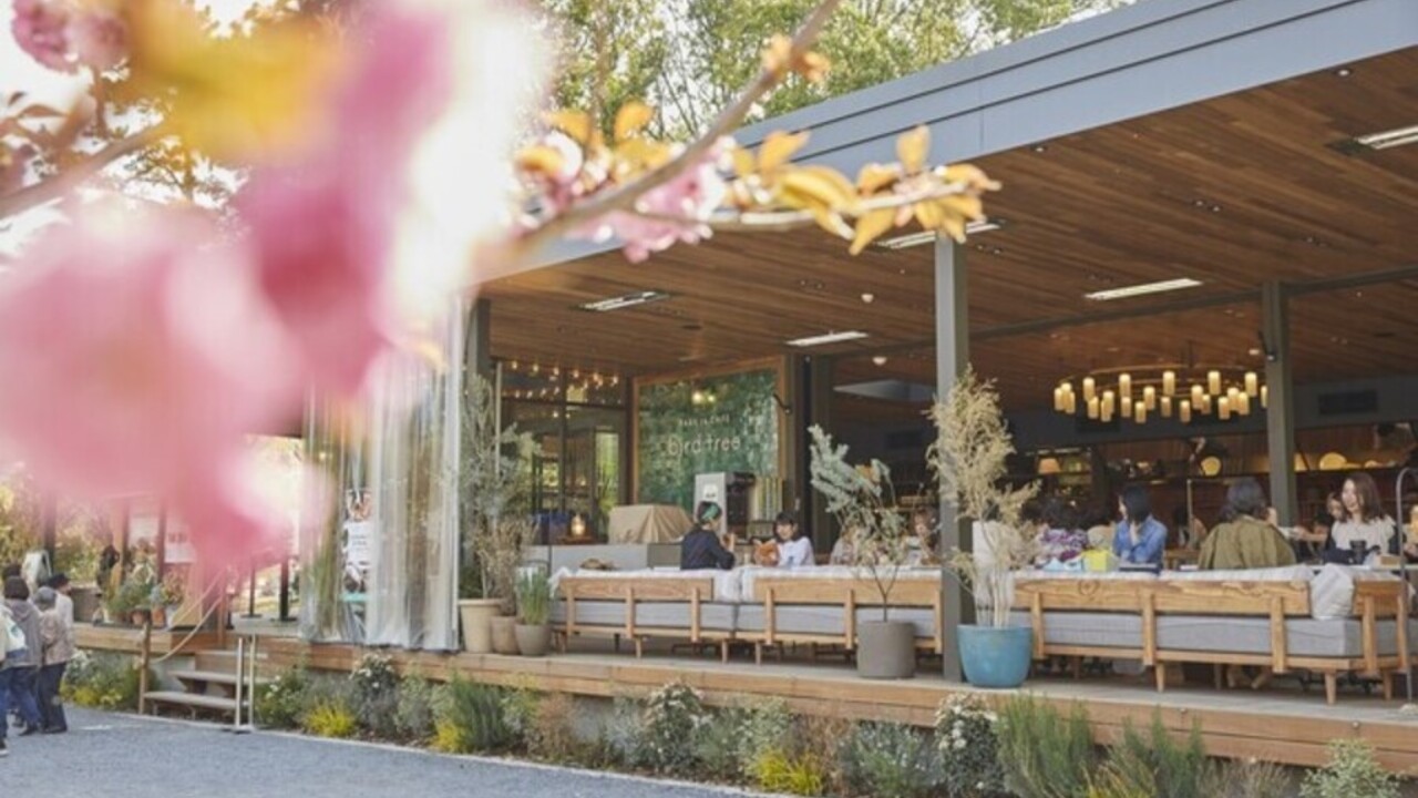 バードツリー イタリアン, 洋食・西洋料理 | キッチンスタッフ)の求人の写真 1枚目