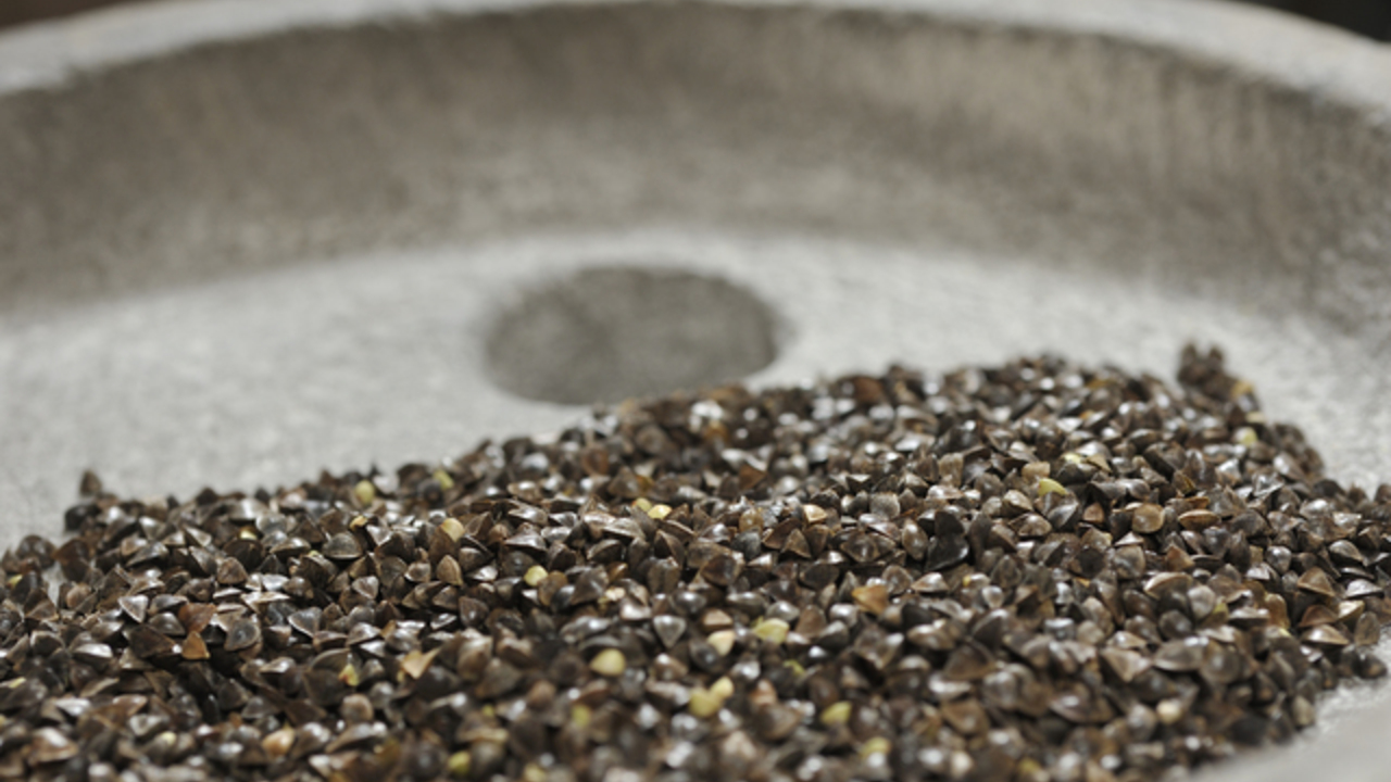 ふくうめ 日本料理・懐石料理, うどん・そば | 料理長・料理長候補)の求人の写真 4枚目