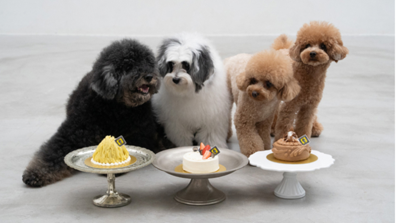 ル パティシエ タカギ|パティシエの求人画像4枚目