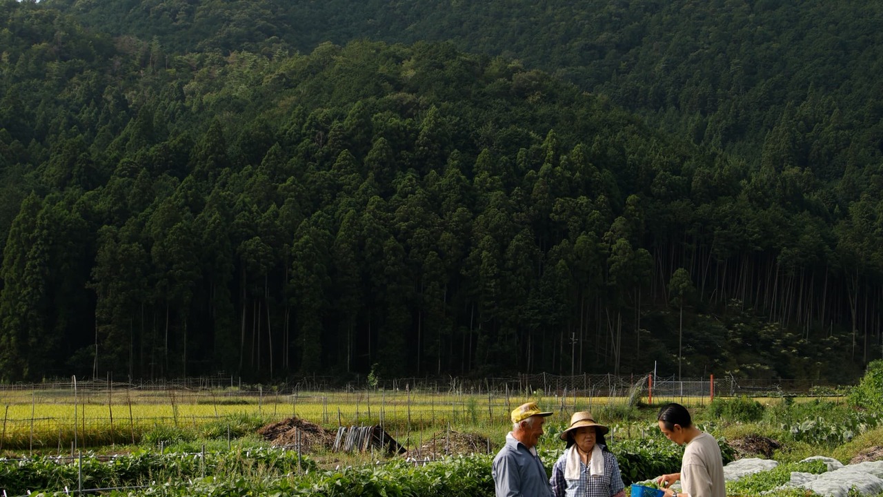 長楽館 フレンチレストラン　LE CHENE|パティシエの求人画像4枚目