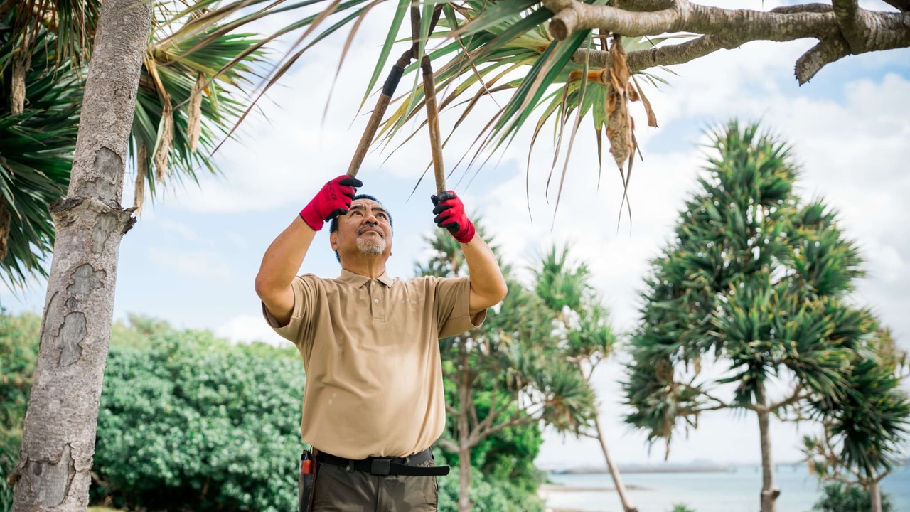 2026年6月開業｜宮古島・伊良部島のスモールラグジュアリーホテル|施設管理全般の求人画像1枚目