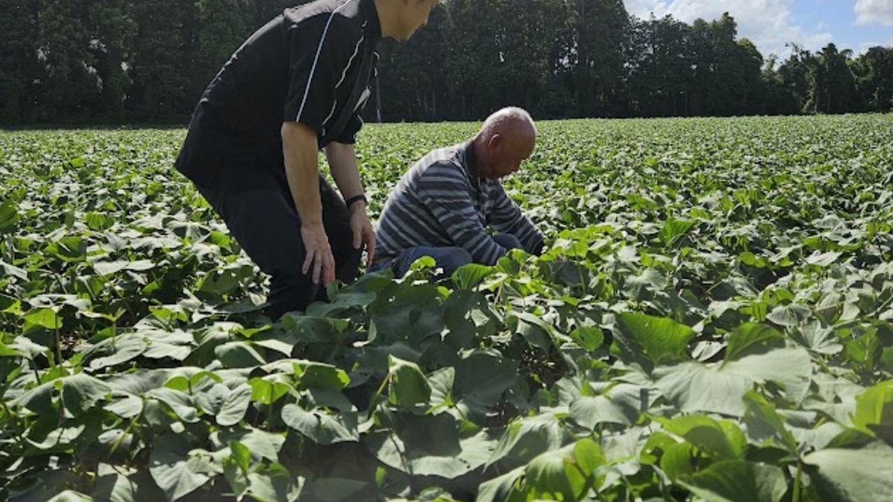 VMG HOTELS & UNIQUE VENUES|キッチンスタッフの求人画像3枚目