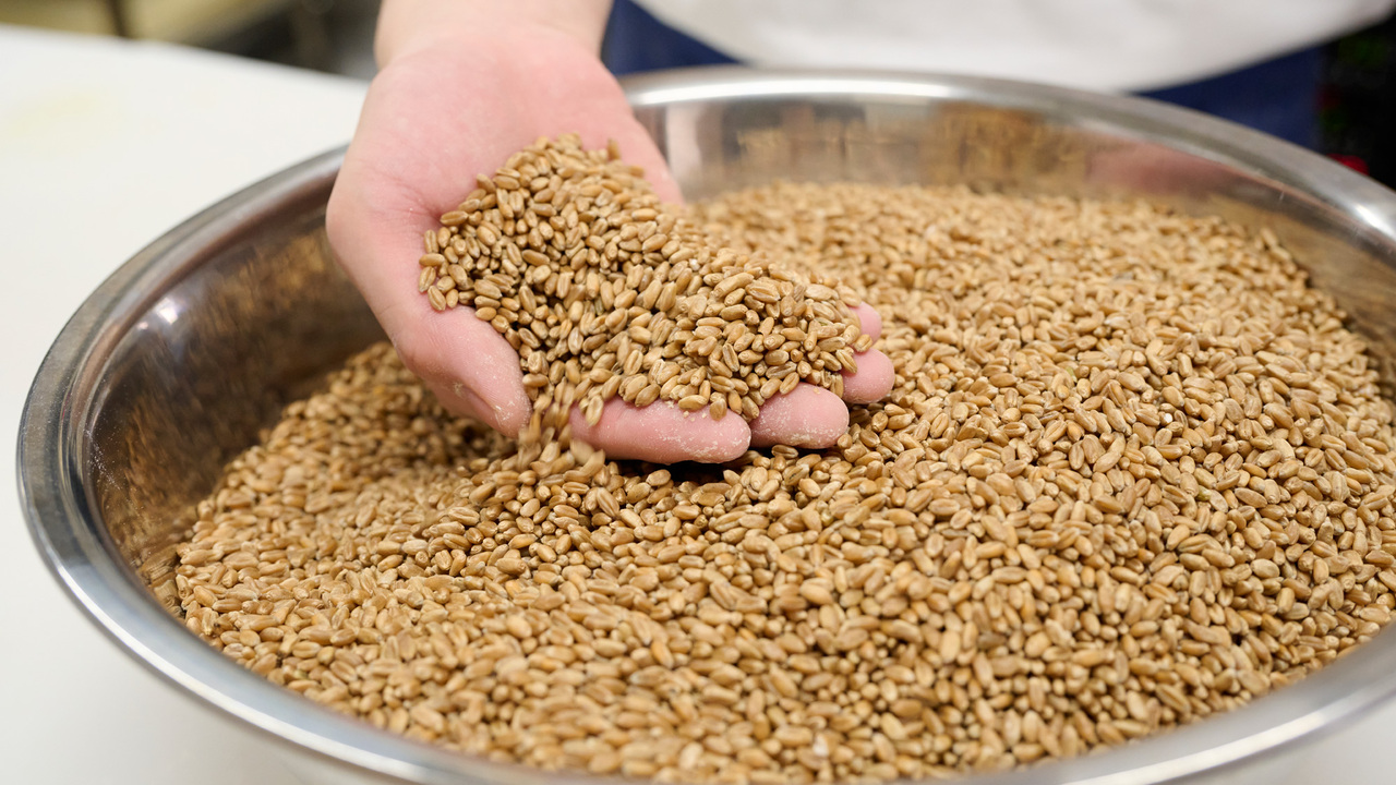 有機小麦工房 CODOMO BAKERY⁺|ブーランジェ・ベーカーの求人画像1枚目