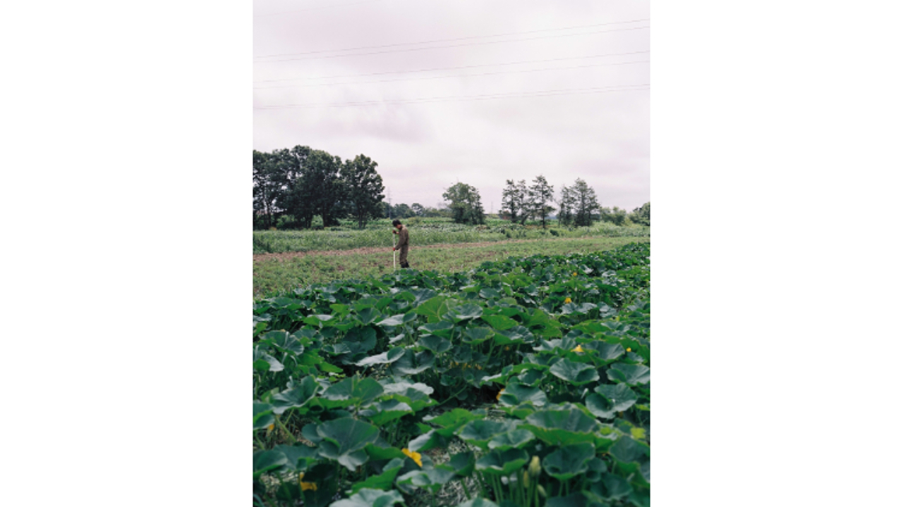 北海道スープカレーSuage|店長・店長候補の求人画像2枚目