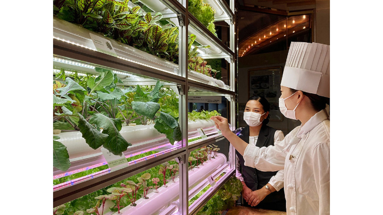 東武ホテルレバント東京|キッチンスタッフの求人画像2枚目