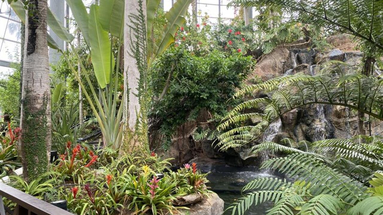 BOTANICA MUSEUM BOTANICA MUSEUM RESTAURENT ブライダル, その他(料理ジャンル) | 店長・店長候補)の求人の写真 3枚目