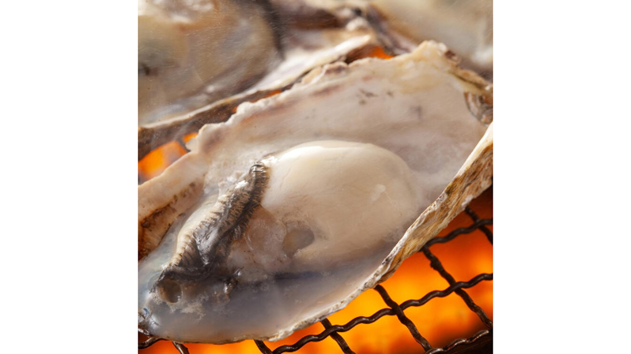 博多 うまいもん|調理見習い・調理補助の求人画像3枚目