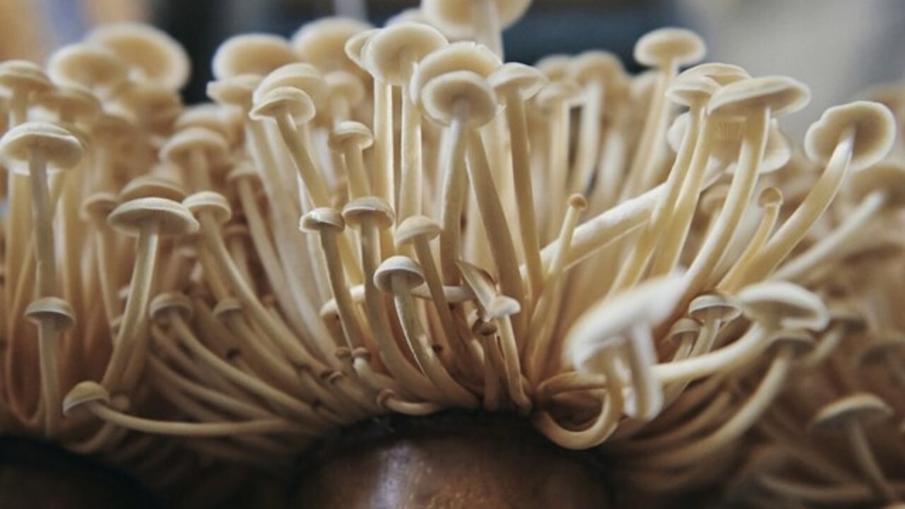 裏の山の木の子|店長・店長候補の求人画像4枚目