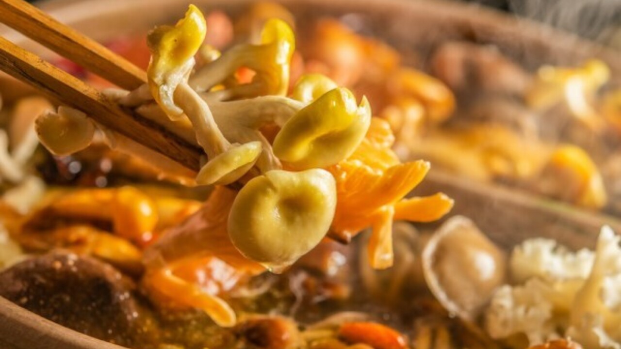 裏の山の木の子|店長・店長候補の求人画像4枚目