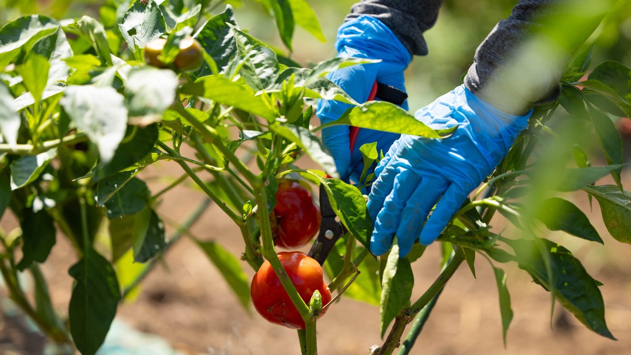 GONNA DAYS|店長・店長候補の求人画像2枚目