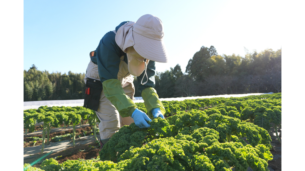 GONNA DAYS|レストランサービス・ホールスタッフの求人画像2枚目