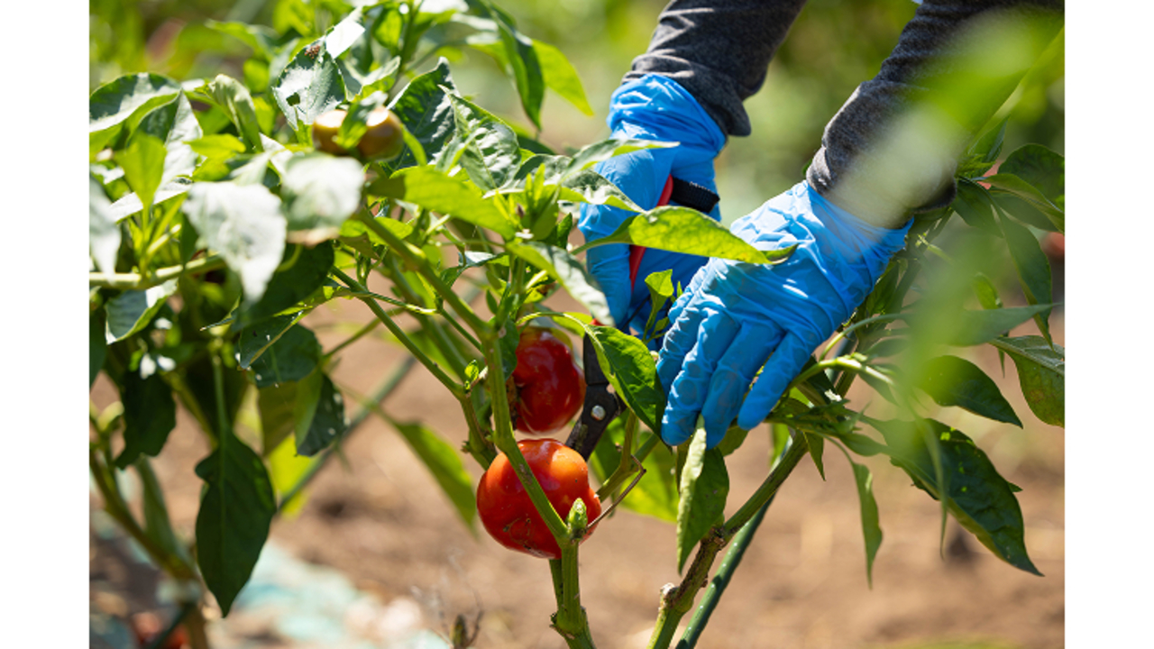 GONNA DAYS|レストランサービス・ホールスタッフの求人画像4枚目