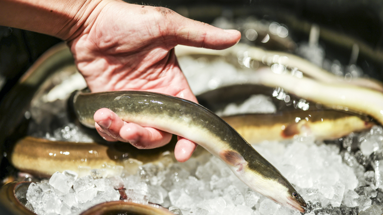 うなぎ四代目菊川|レストランサービス・ホールスタッフの求人画像3枚目