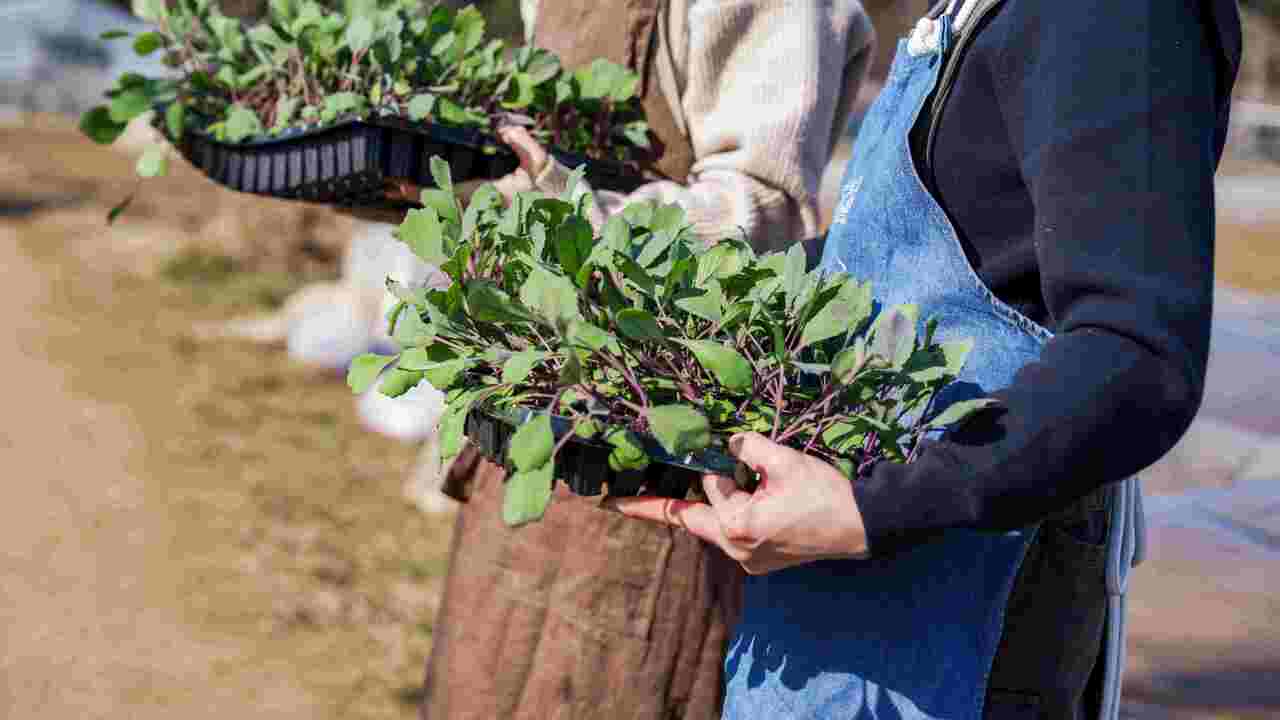 GONNA DAYS|店長・店長候補の求人画像3枚目