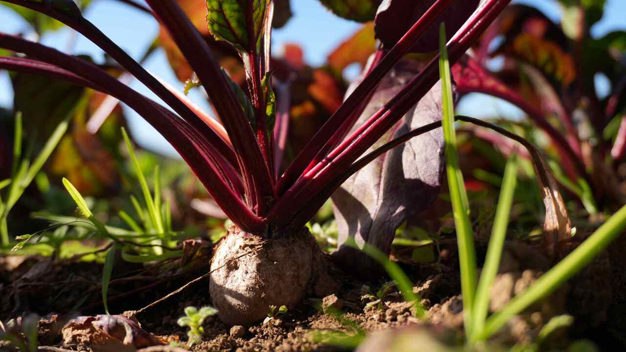 GONNA DAYS|店長・店長候補の求人画像4枚目