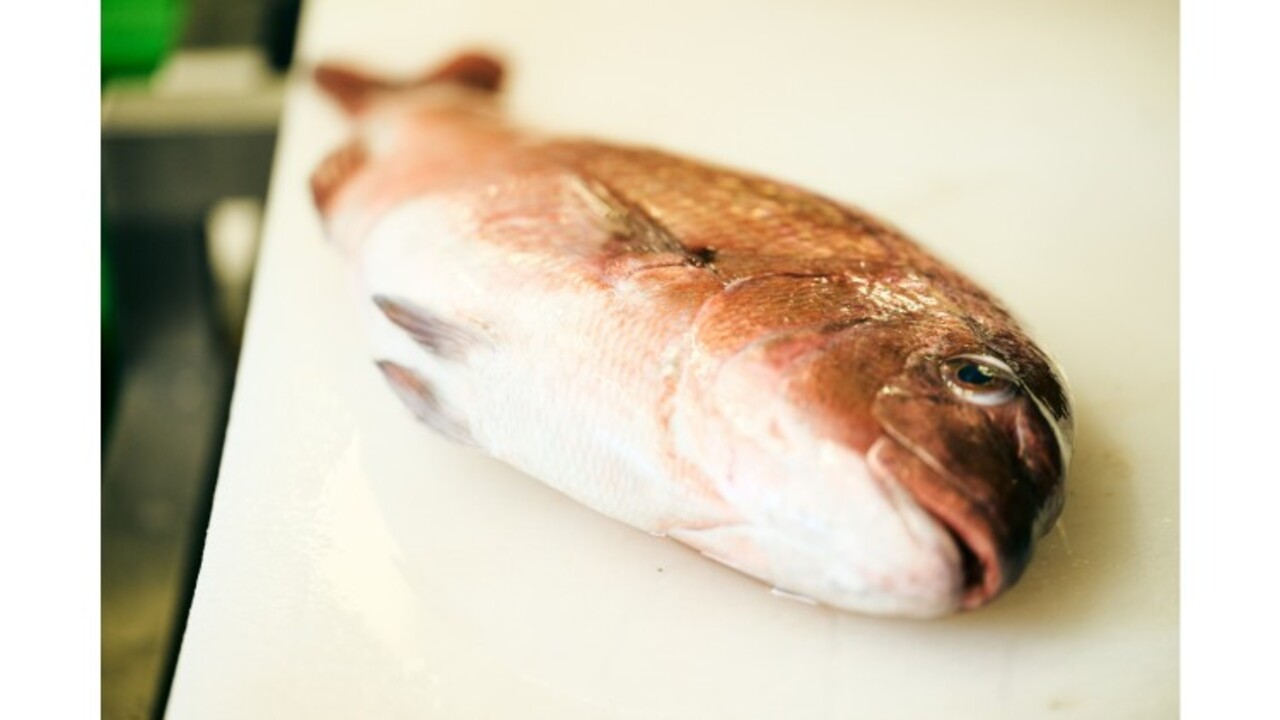 海鮮特急レーン 寿司じじや|店長・店長候補の求人画像2枚目