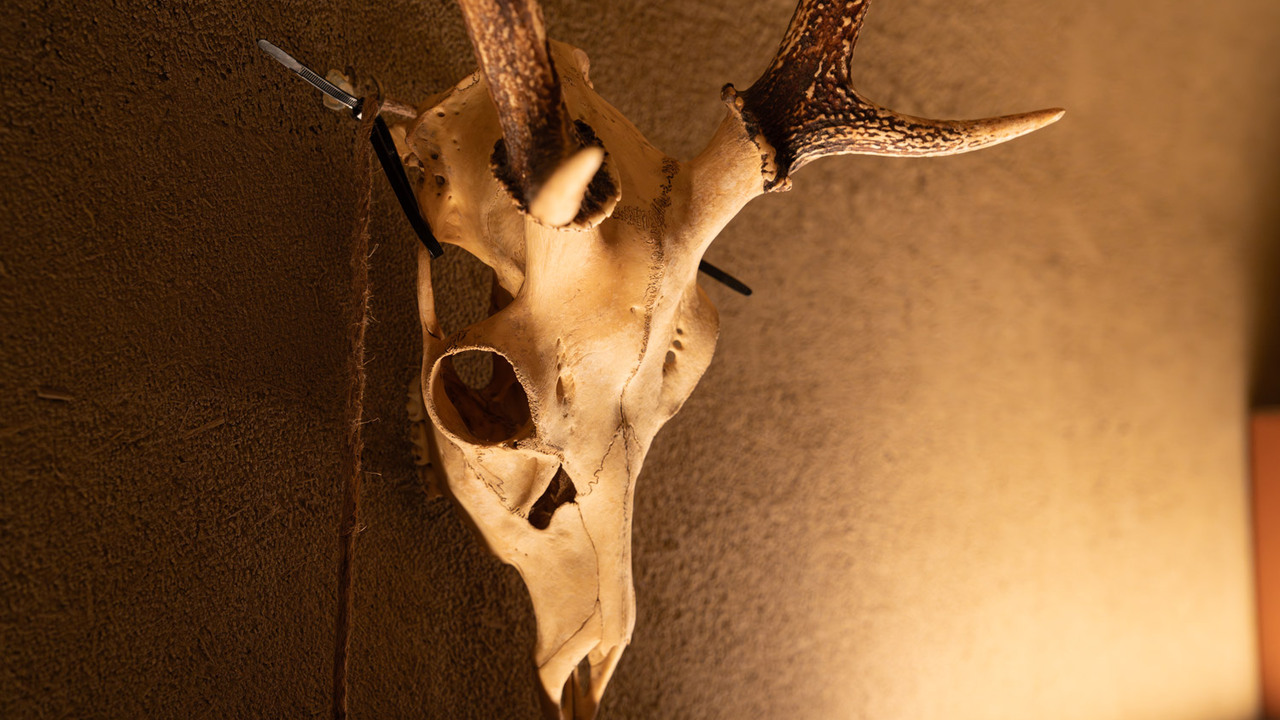 炭焼笑店陽|店長・店長候補の求人画像1枚目