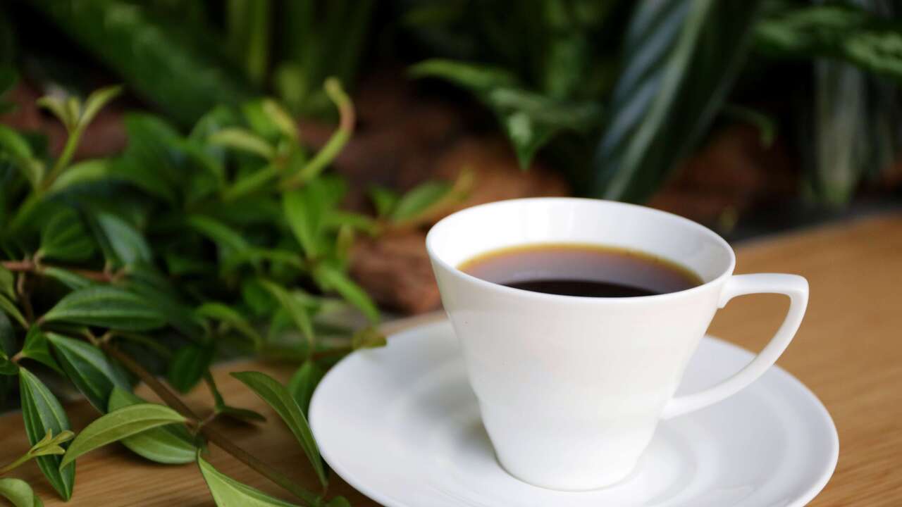 ミカフェート（Mi Cafeto）|その他(仕事内容)の求人画像3枚目