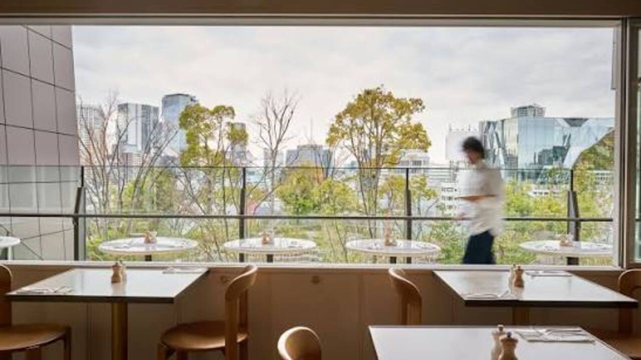bills 東急プラザ表参道原宿 バル・バー, カフェ | 店長・店長候補)の求人の写真 2枚目