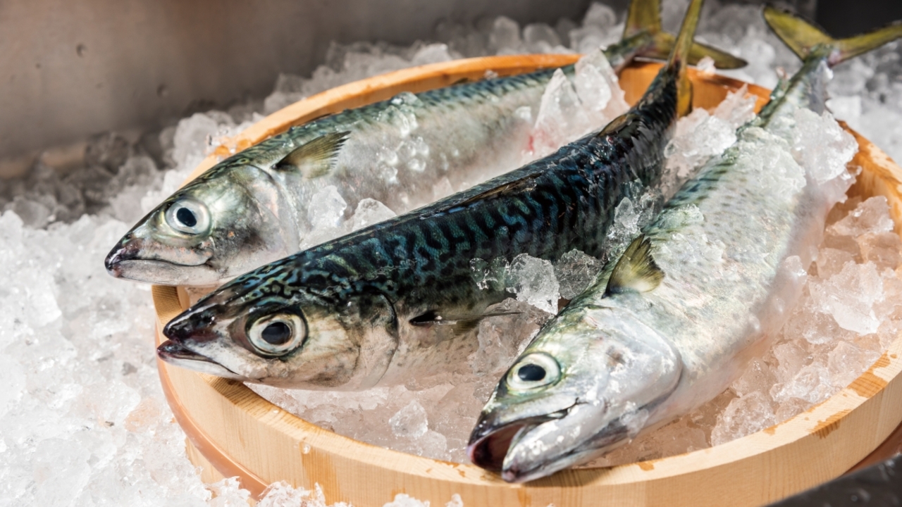 九州 熱中屋|レストランサービス・ホールスタッフの求人画像2枚目